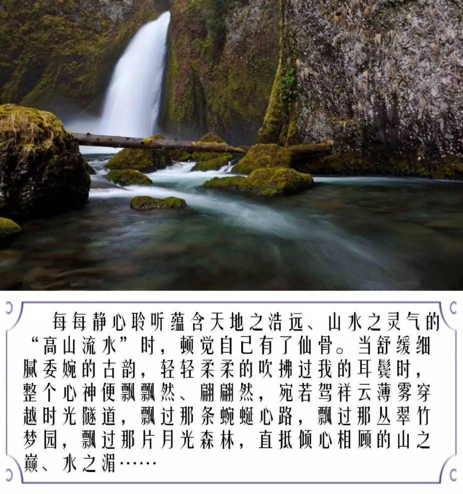 人造肠衣是什么做的?-最佳的问答类网站